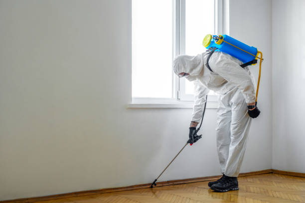 Best Pest Exclusion Services  in Skyline View, PA